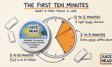 Your First Nicotine Pouch: What to Expect & How to Choose.